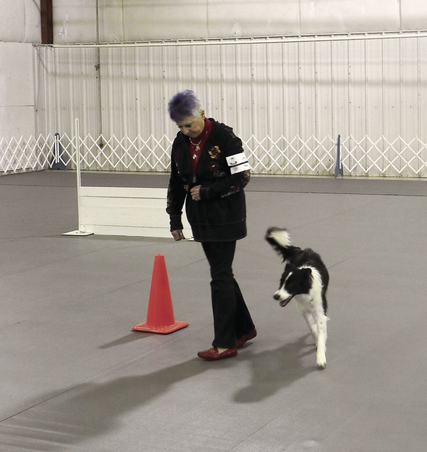 PHOTOS: 2022 AKC Dog Show